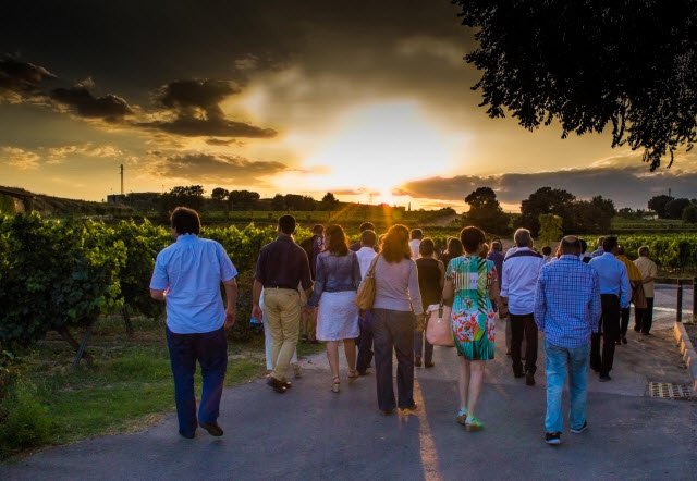 BODEGAS TORRES-Noche de estrellas